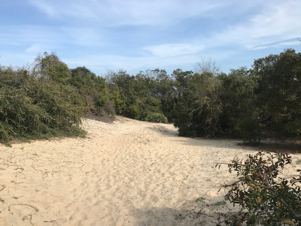 Stafford Beach Campground | Cumberland Island, St Marys, GA 31558, USA | Phone: (218) 820-0362