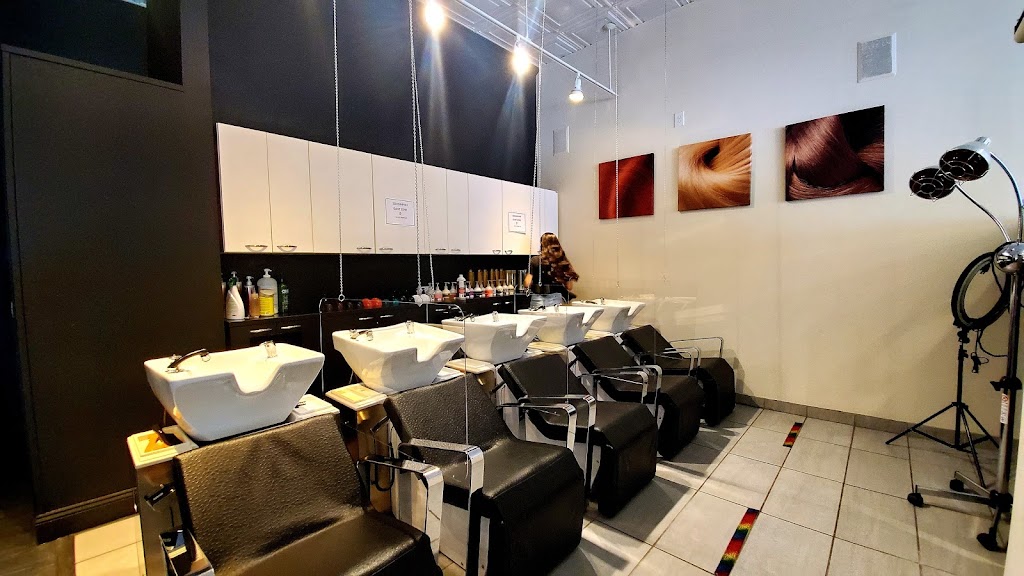 Knotz Hair Studio | 241 Main St, New Rochelle, NY 10801, USA | Phone: (914) 576-3931