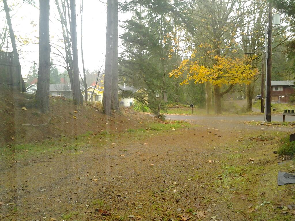 Niebergall Marble Services Inc | 3062 WA-16, Port Orchard, WA 98367, USA | Phone: (253) 225-1571