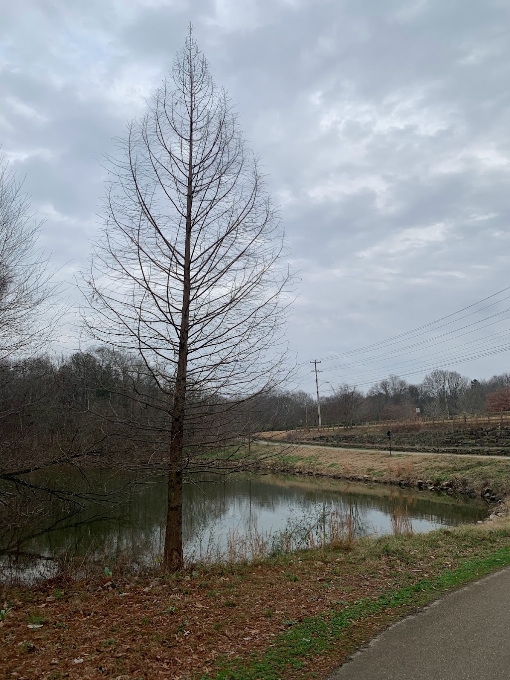 Wolf River Greenway - Kirby Parkway Trailhead | 6730 Humphreys Blvd, Memphis, TN 38120, USA | Phone: (901) 452-6500