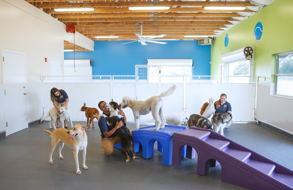 Meadowlake Pet Resort & Training Center - 288 South | 13500 Furman Rd, Houston, TX 77047, USA | Phone: (713) 413-1633