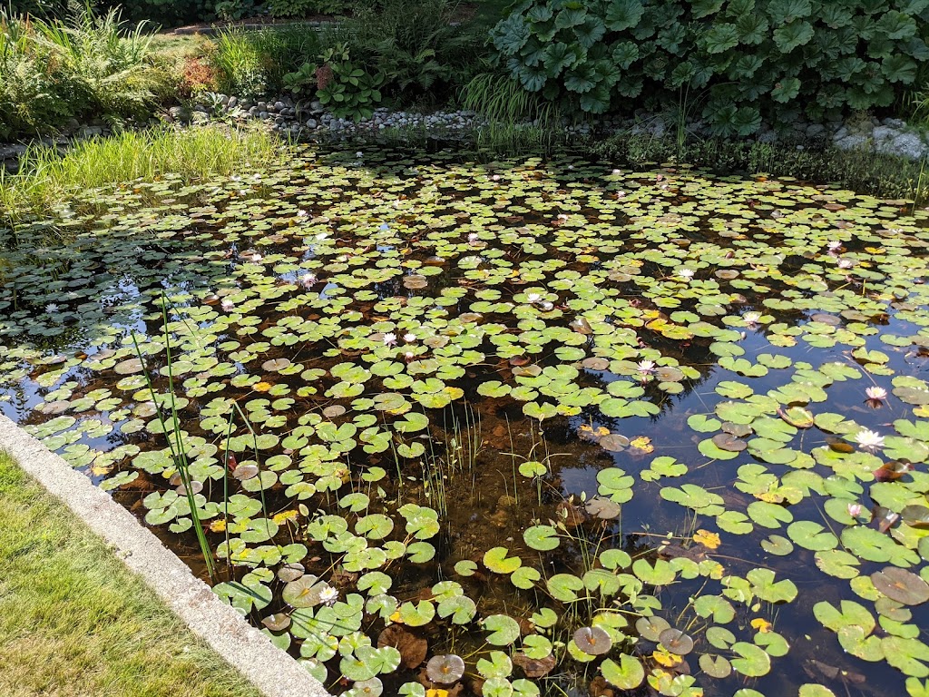 Soos Creek Botanical Garden & Heritage Center | 29308 132nd Ave SE, Auburn, WA 98092, USA | Phone: (253) 639-0949