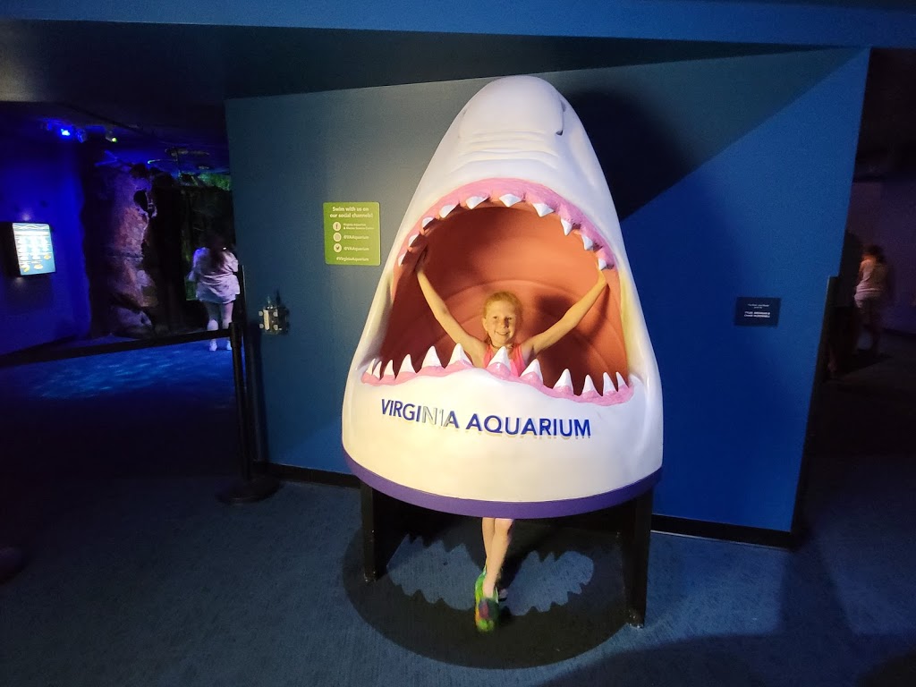 Virginia Aquarium & Marine Science Center | 717 General Booth Blvd, Virginia Beach, VA 23451, USA | Phone: (757) 385-3474