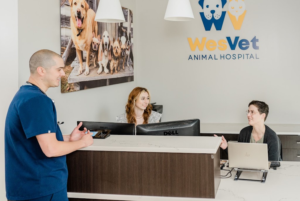 WesVet Animal Hospital | 5511 Edmondson Pike Suite 205, Nashville, TN 37211, USA | Phone: (615) 739-5824