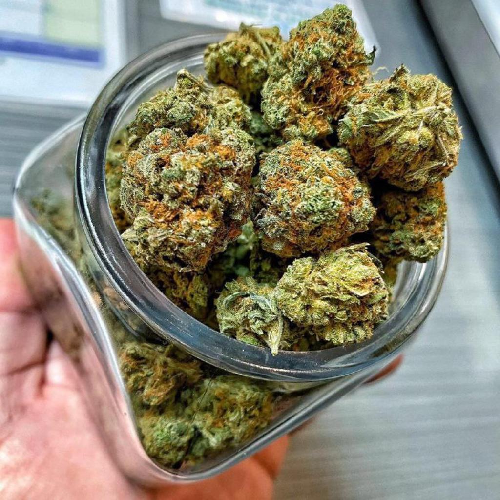 Weed City Plug Shop | 12530 Shepherds Hill Ln, Frisco, TX 75035, USA | Phone: (727) 722-8213