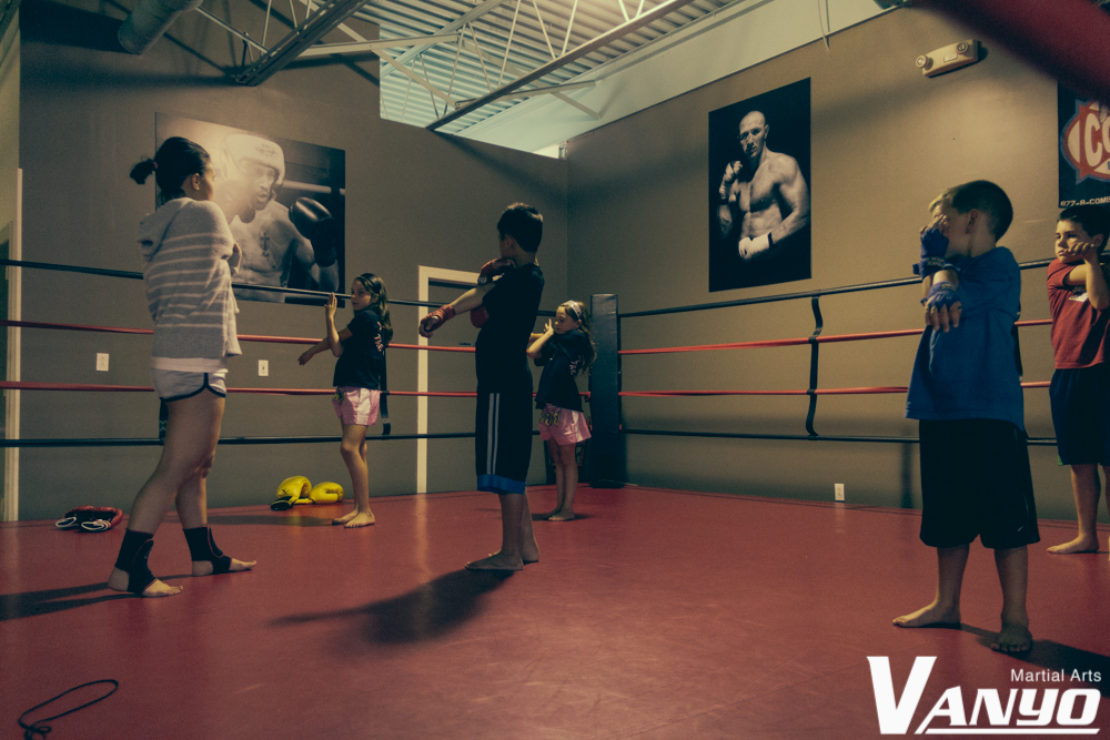 Vanyo Martial Arts | 19654 W 130th St, Strongsville, OH 44136, USA | Phone: (440) 238-9842