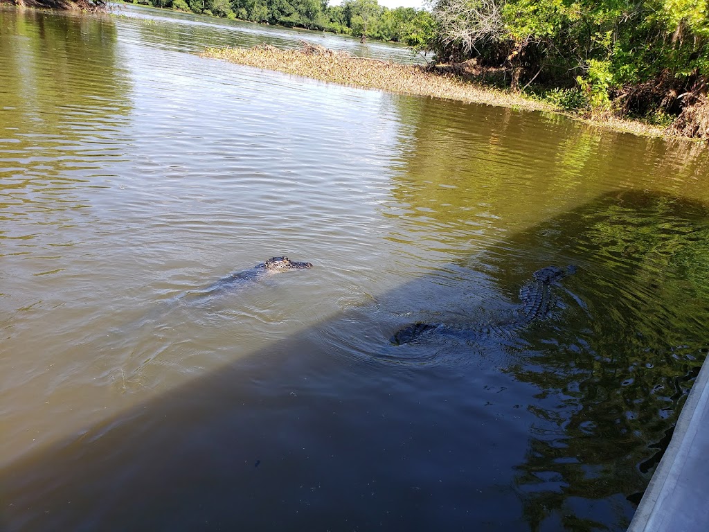 McGees Louisiana Swamp & Airboat Tours | 1337 Henderson Levee Rd, Henderson, LA 70517, USA | Phone: (337) 228-2384