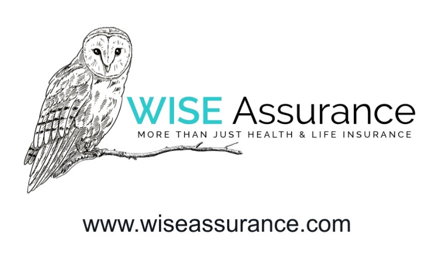 WISE Assurance Group | 29237 Laughridge Pl, Wesley Chapel, FL 33545, USA | Phone: (305) 773-6586