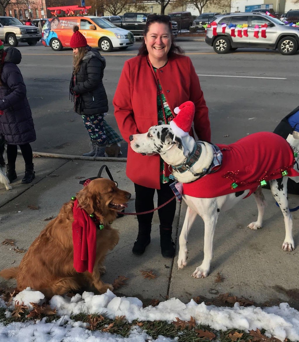 Talk Dog Toledo Dog Training | 4061 County Rd 16, Woodville, OH 43469, USA | Phone: (419) 849-3605