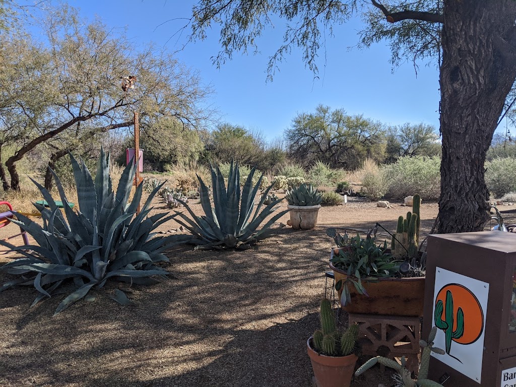 Desert Meadows Park | 999 S La Huerta, Green Valley, AZ 85614, USA | Phone: (520) 343-9690