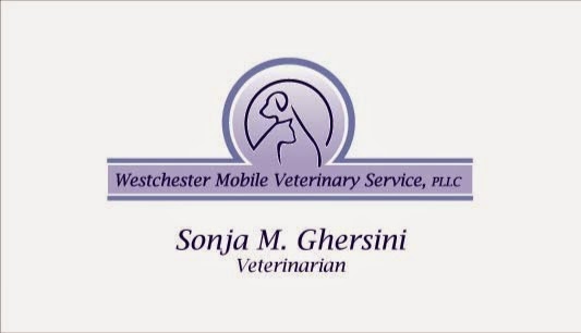 Westchester Mobile Veterinary Service, PLLC | 1858 Pleasantville Rd #150, Briarcliff Manor, NY 10510, USA | Phone: (914) 432-7868