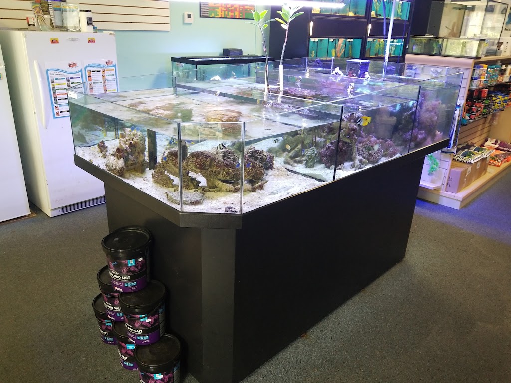 Ocean Rift Aquatics | 4934 Everhard Rd NW, Canton, OH 44718, USA | Phone: (330) 244-9785