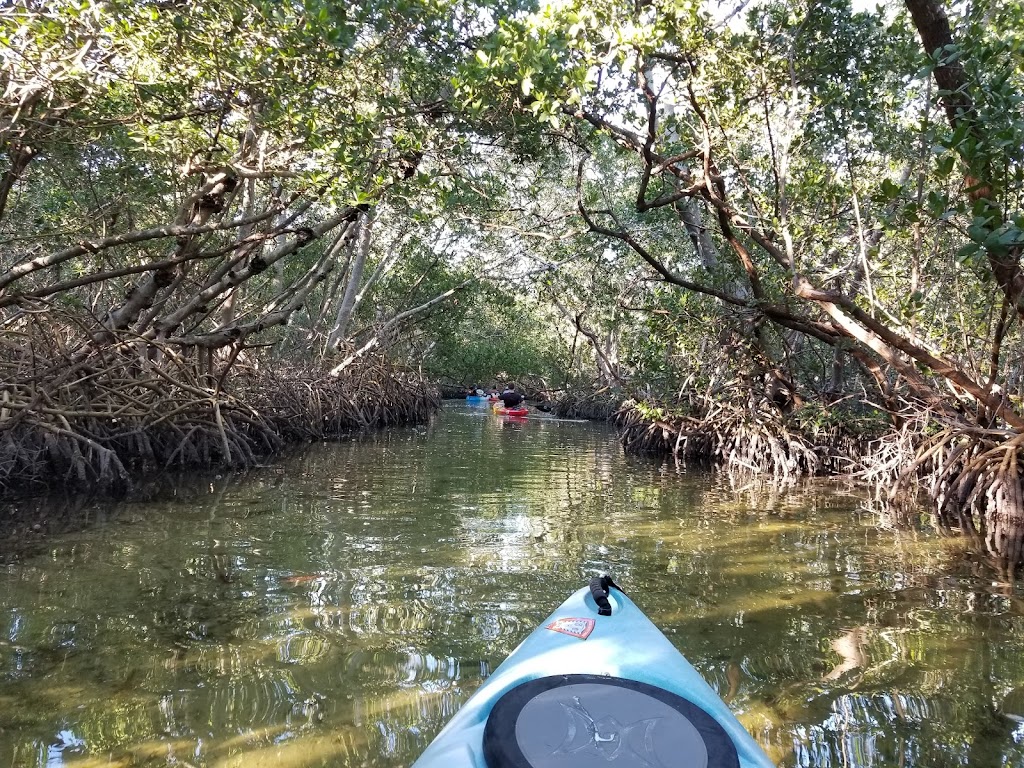 So. Lido Nature Park Kayak Launch | 190 Taft Dr, Sarasota, FL 34236, USA | Phone: (941) 861-5000