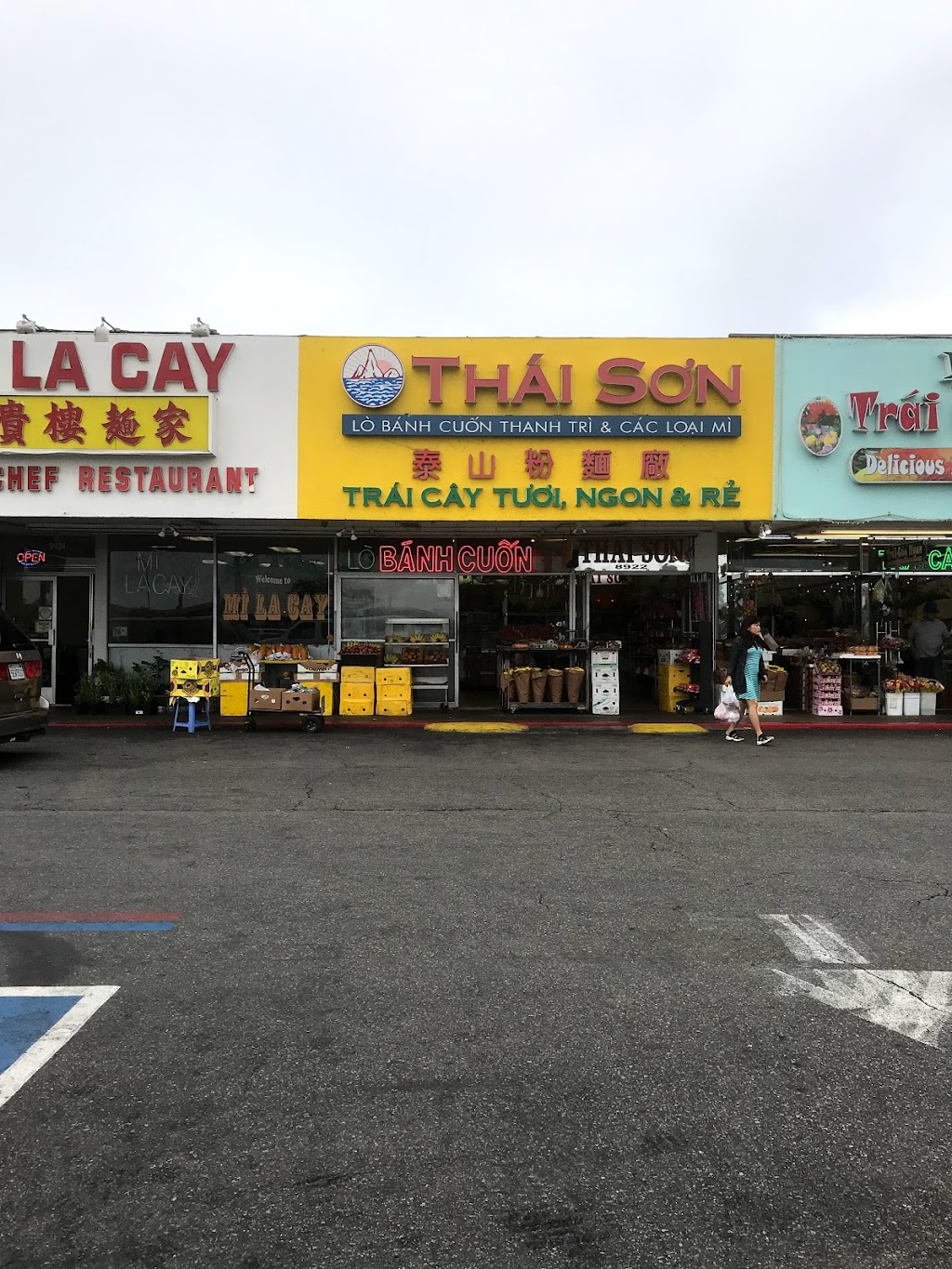 Thai Son | 8922 Bolsa Ave, Westminster, CA 92683 | Phone: (714) 893-5325