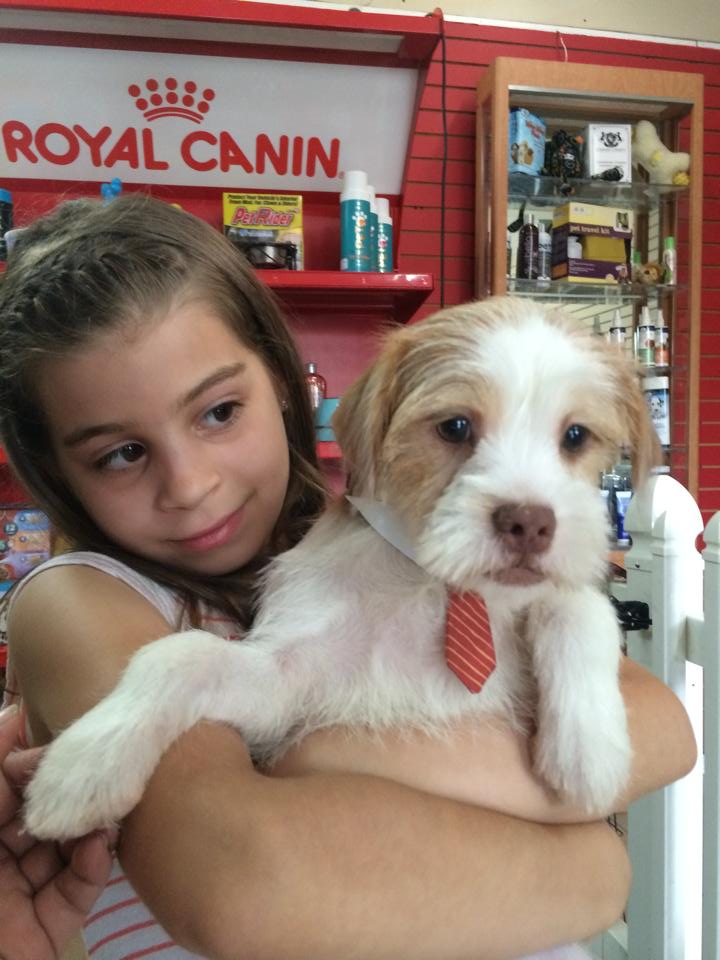 Puppy World Miami | Miami, FL 33145, USA | Phone: (305) 569-3231