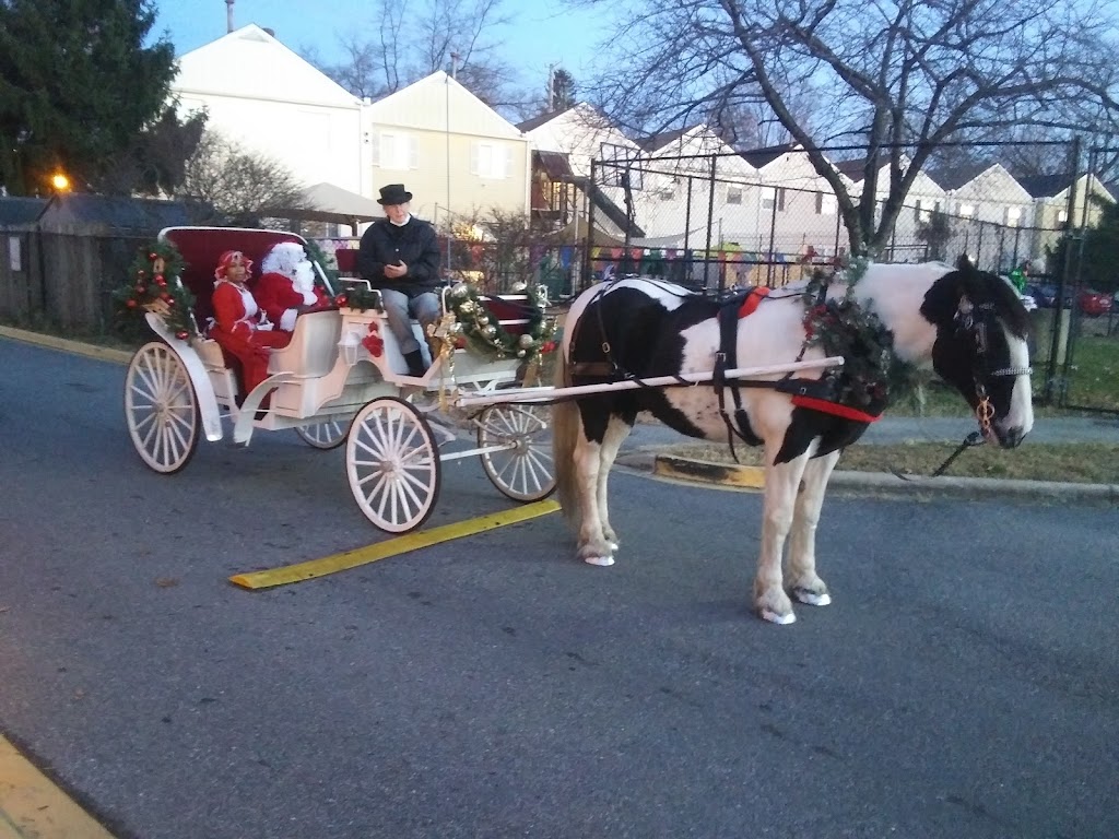 Smithfield Horse and Carriage, LTD. | 29, Smithfield, VA 23431, USA | Phone: (757) 635-9963