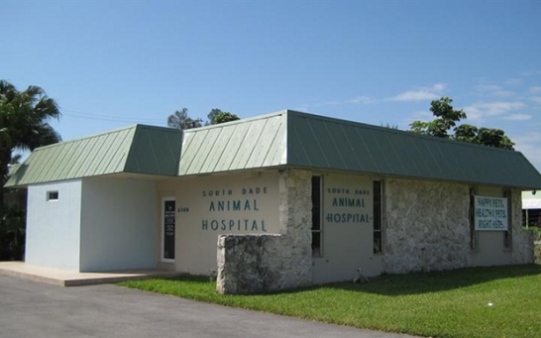 Avian & Exotic Animal Medical Consulting | 6380 S Dixie Hwy, Miami, FL 33143 | Phone: (305) 234-2473