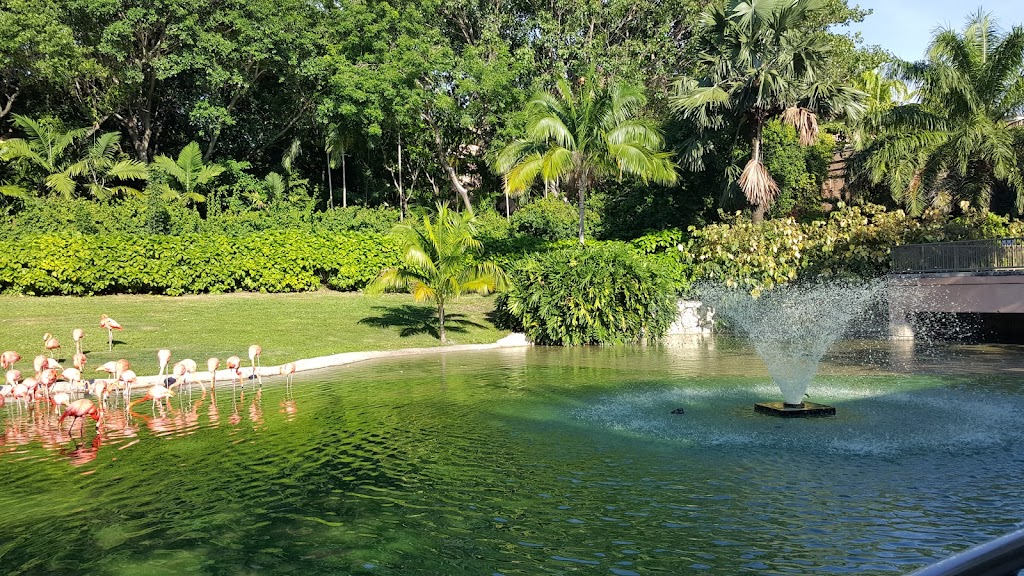 Jungle Island | 1111 Parrot Jungle Trail, Miami, FL 33132, USA | Phone: (305) 400-7000