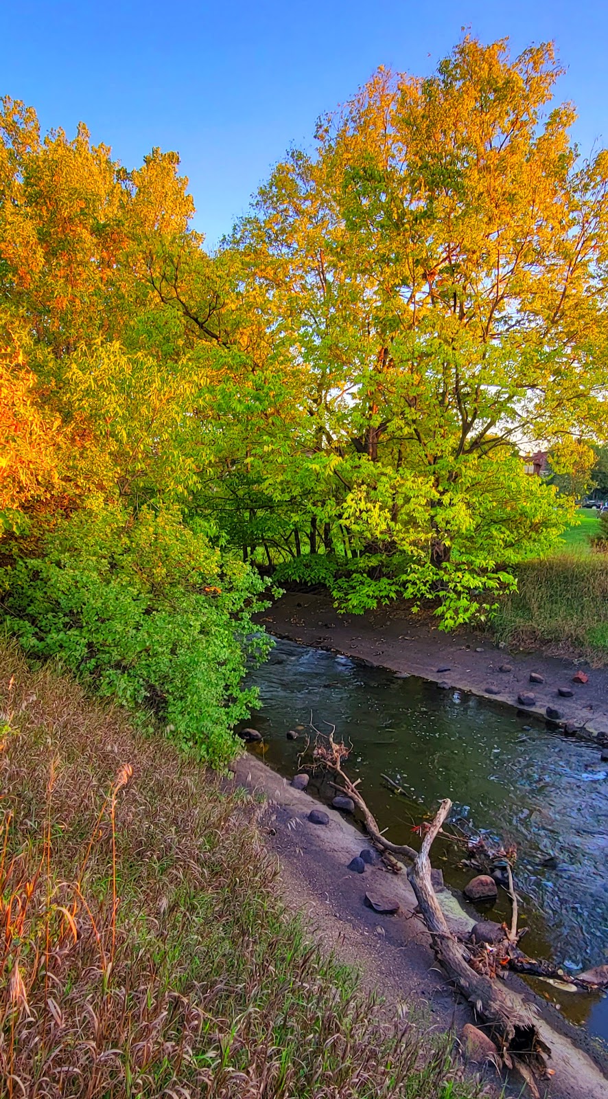 Shingle Creek Falls in Webber Park | 4300 Webber Pkwy, Minneapolis, MN 55412, USA | Phone: (612) 370-4916