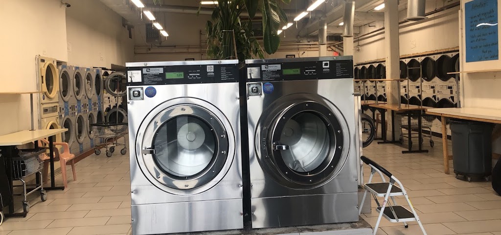 Lodi Super Laundromat | 2 Mercer St, Lodi, NJ 07644 | Phone: (973) 330-7919