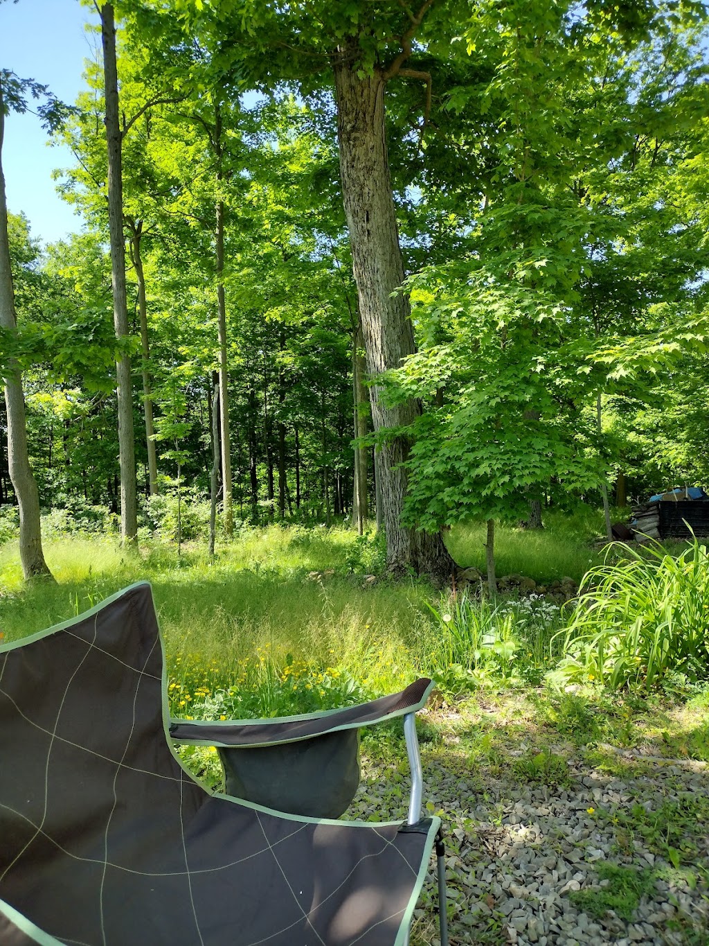 Lost Mountain Campground | 195 Lost Mountain Ln, Rockwood, PA 15557, USA | Phone: (814) 352-7310