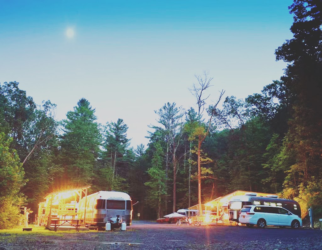 Treetopia Campground | 1446 Leeds Athens Rd, Catskill, NY 12414, USA | Phone: (518) 943-4513