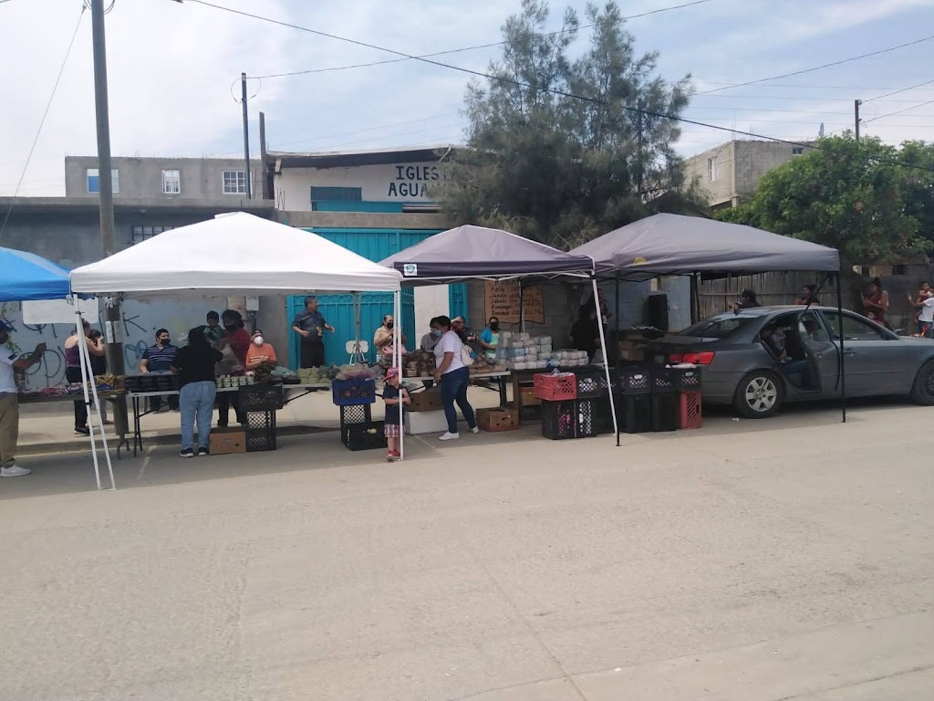 IGLESIA AGUA VIVA EL NIÑO | De los niños, Torrecillas, El Niño, 22330 Tijuana, B.C., Mexico | Phone: 664 190 8699