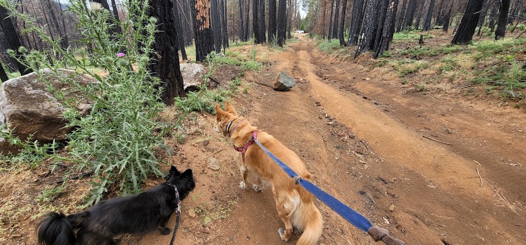 Fleming Trail System & Trailhead | Pollock Pines, CA 95726, USA | Phone: (530) 622-5061