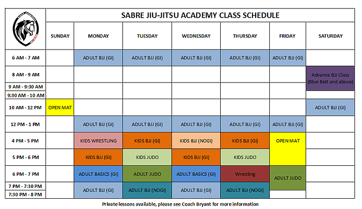 Sabre Jiu Jitsu Academy | 930 Detroit Ave Suite F, Concord, CA 94518, USA | Phone: (925) 305-1748