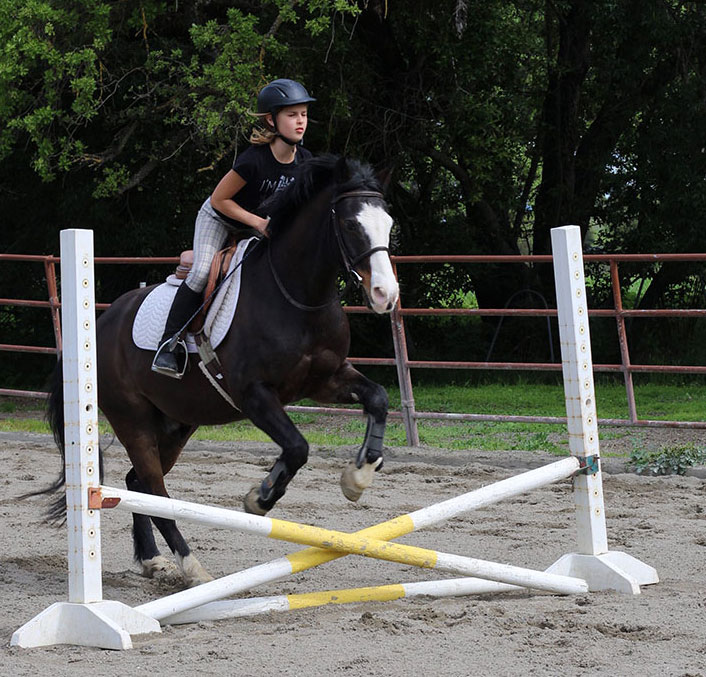 Isola Riding Academy | 3639 Alpine Rd, Portola Valley, CA 94028, USA | Phone: (650) 332-4886