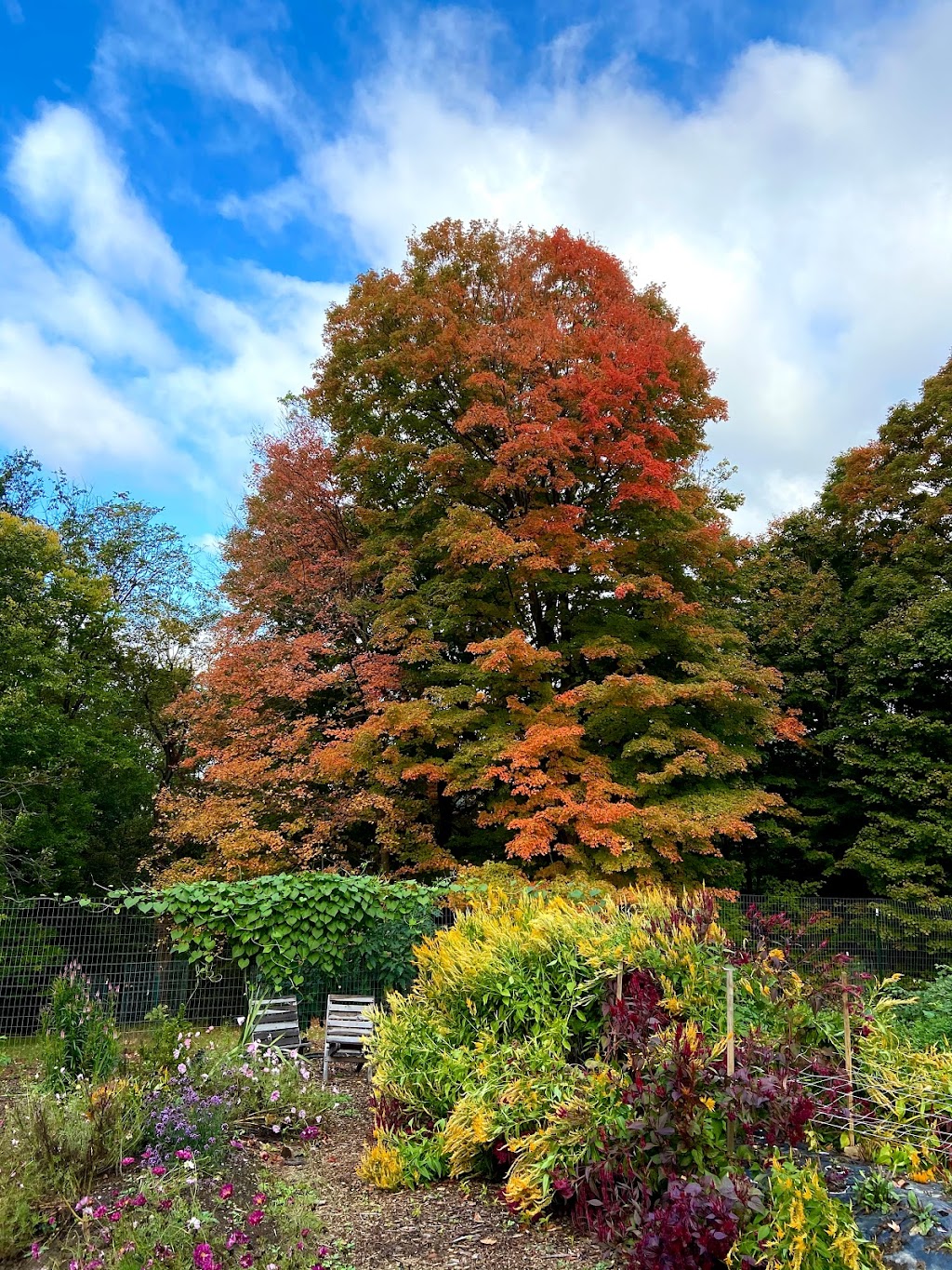 Penn Forest Natural Burial Park | 121 Colorado St, Verona, PA 15147 Mail:, 227 Kansas St, Verona, PA 15147, USA | Phone: (412) 265-4606