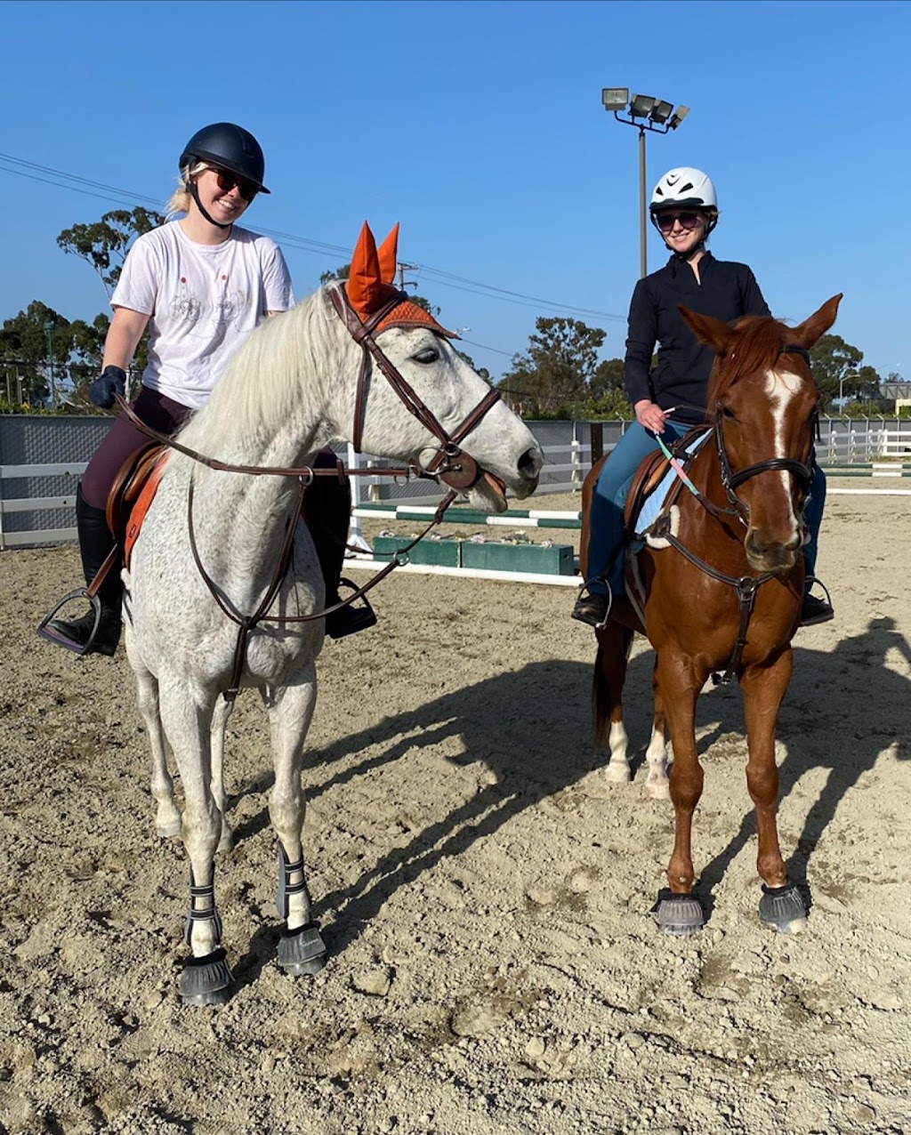 Arena Equestrian | 31943 Via Ararat Dr, Bonsall, CA 92003, USA | Phone: (845) 825-0088