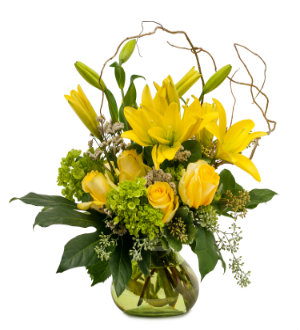 Bloomingdays Flower Shop | 11618 N Florida Ave, Tampa, FL 33612, United States | Phone: (813) 933-1942