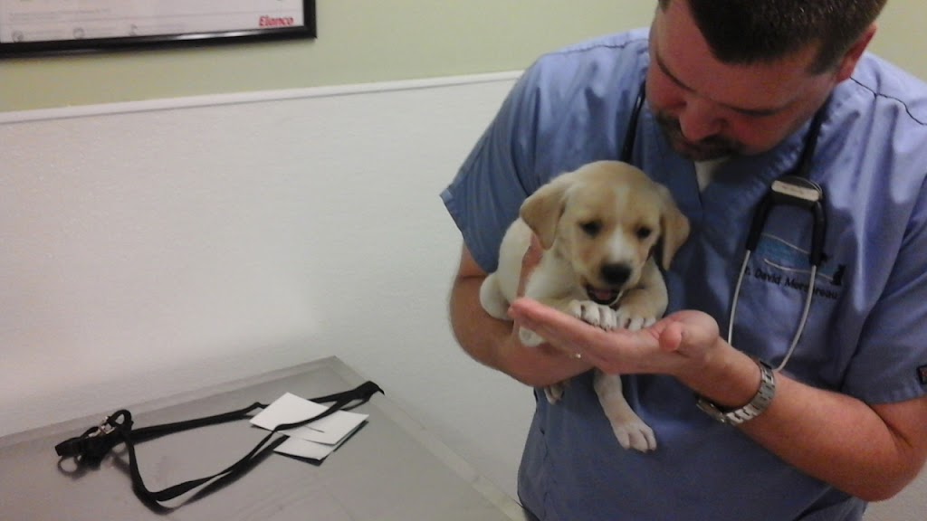 Animal Hospital of Oceanway | 12837 N Main St, Jacksonville, FL 32218, USA | Phone: (904) 757-4254