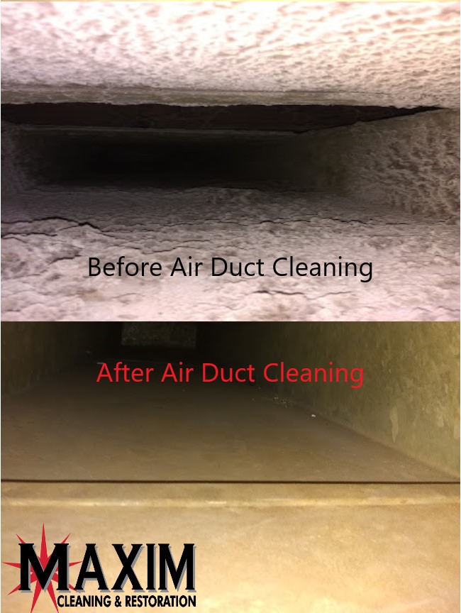 Maxim Cleaning and Restoration | 10524 Chandler Rd #1, La Vista, NE 68128, USA | Phone: (402) 697-9004