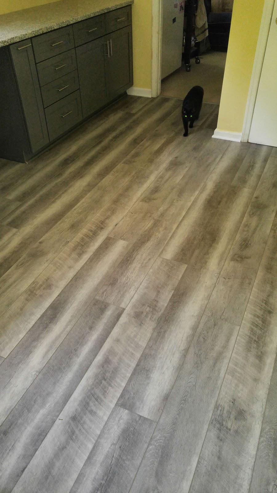 Daves Flooring | Manor Village Shopping Center, 6211 Portsmouth Blvd, Portsmouth, VA 23701, USA | Phone: (757) 465-2100