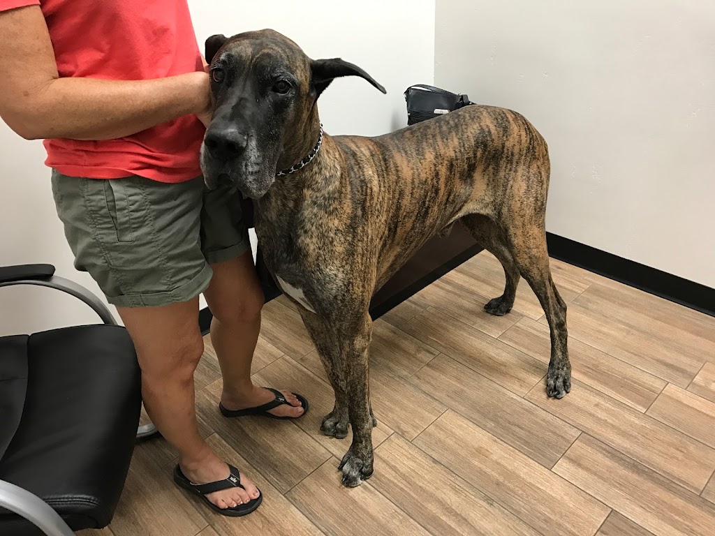 Little Critters Veterinary Hospital | 1525 N Gilbert Rd #C-101, Gilbert, AZ 85234, USA | Phone: (480) 696-7744 Little Critters Veterinary Hospital | 1525 N Gilbert Rd #C-101, Gilbert, AZ 85234, USA | Phone: (480) 696-7744