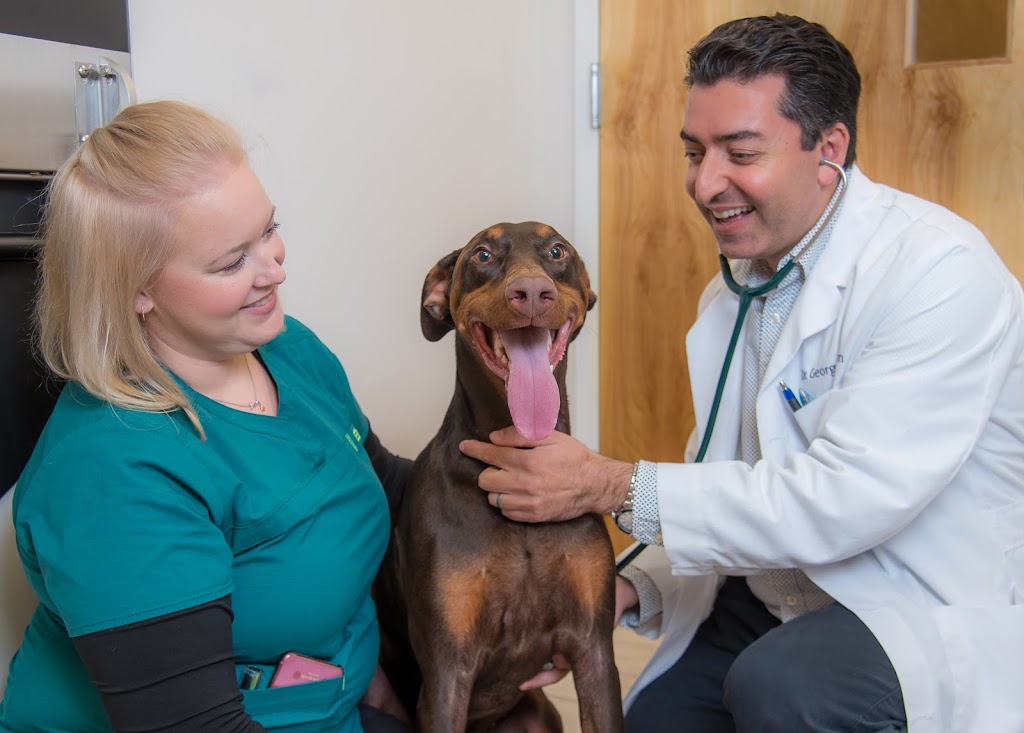 Oak Heart Veterinary Hospital at Dixie Trail | 3044 Medlin Dr, Raleigh, NC 27607, USA | Phone: (919) 781-5977