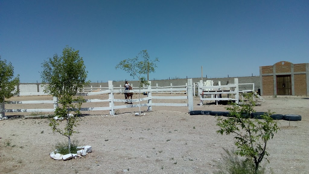 Rancho Las 3 Potrancas | Coyote, 32700 Cd Juárez, Chih., Mexico | Phone: 656 110 6264