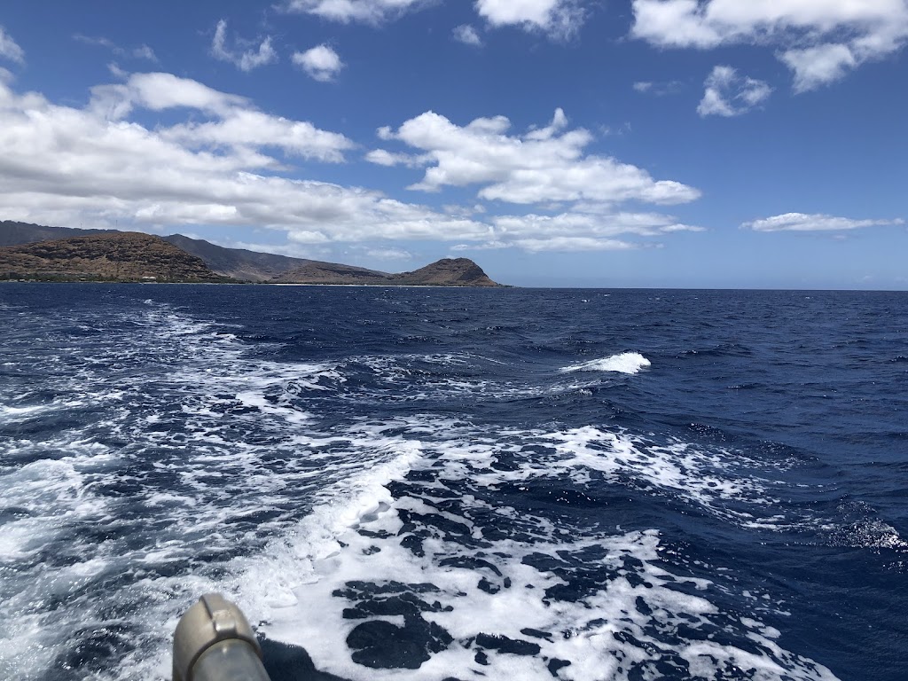 Oahu Dolphin Divers | 85-491 Farrington Hwy, Waianae, HI 96792, USA | Phone: (808) 478-1104