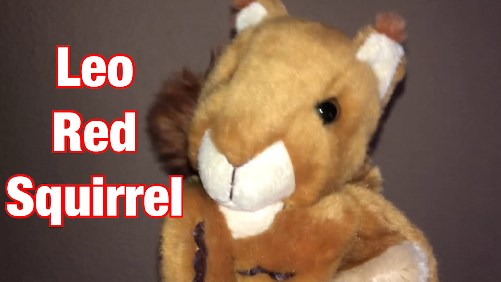Preschool Education Leo Red Squirrel | 500 S Denny St, Howe, TX 75459, USA | Phone: (214) 518-5155