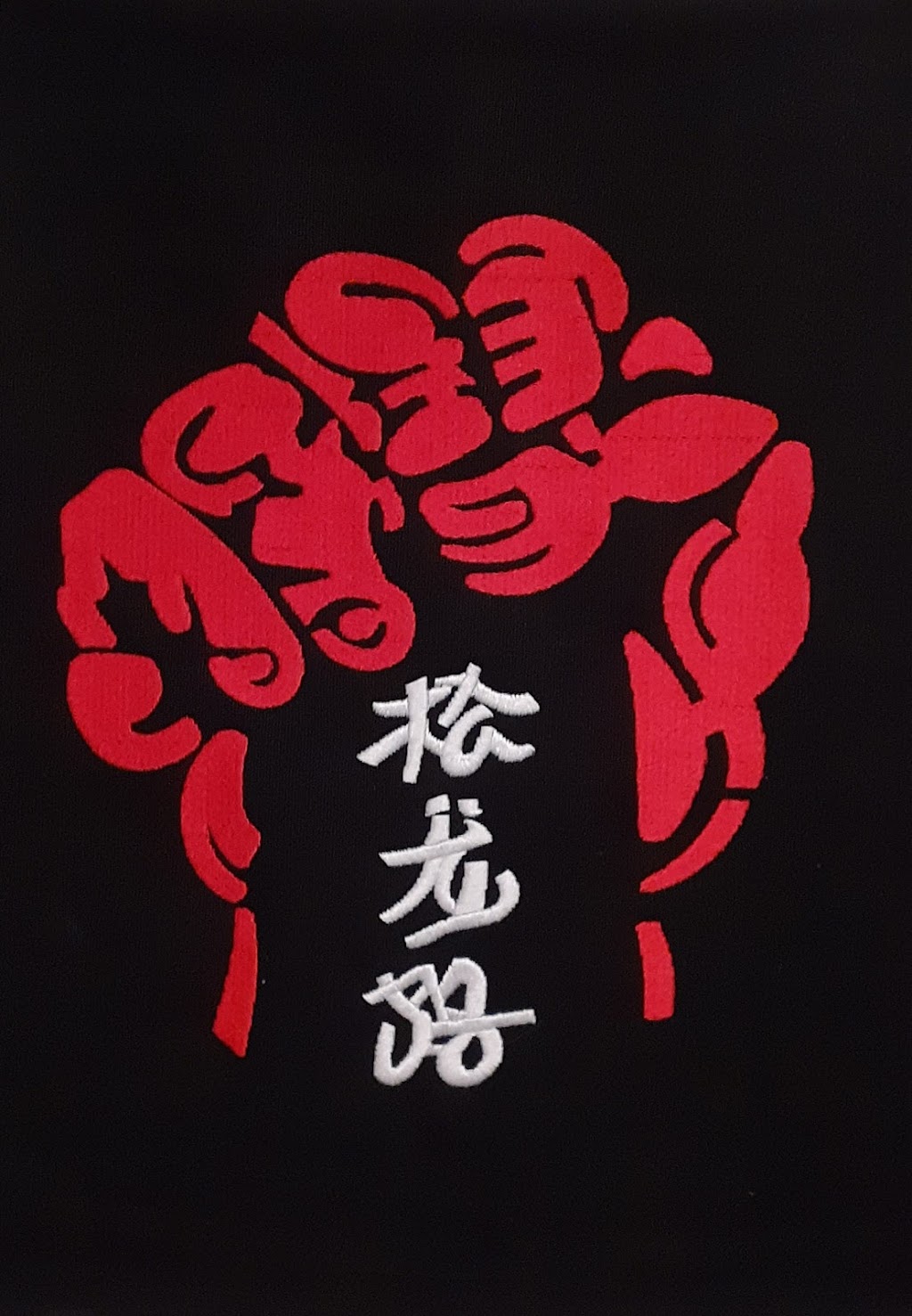 Sung Lung Ryu Int Karate/Kabuto | 5250 Parker St, Zephyrhills, FL 33542, USA | Phone: (727) 900-5286