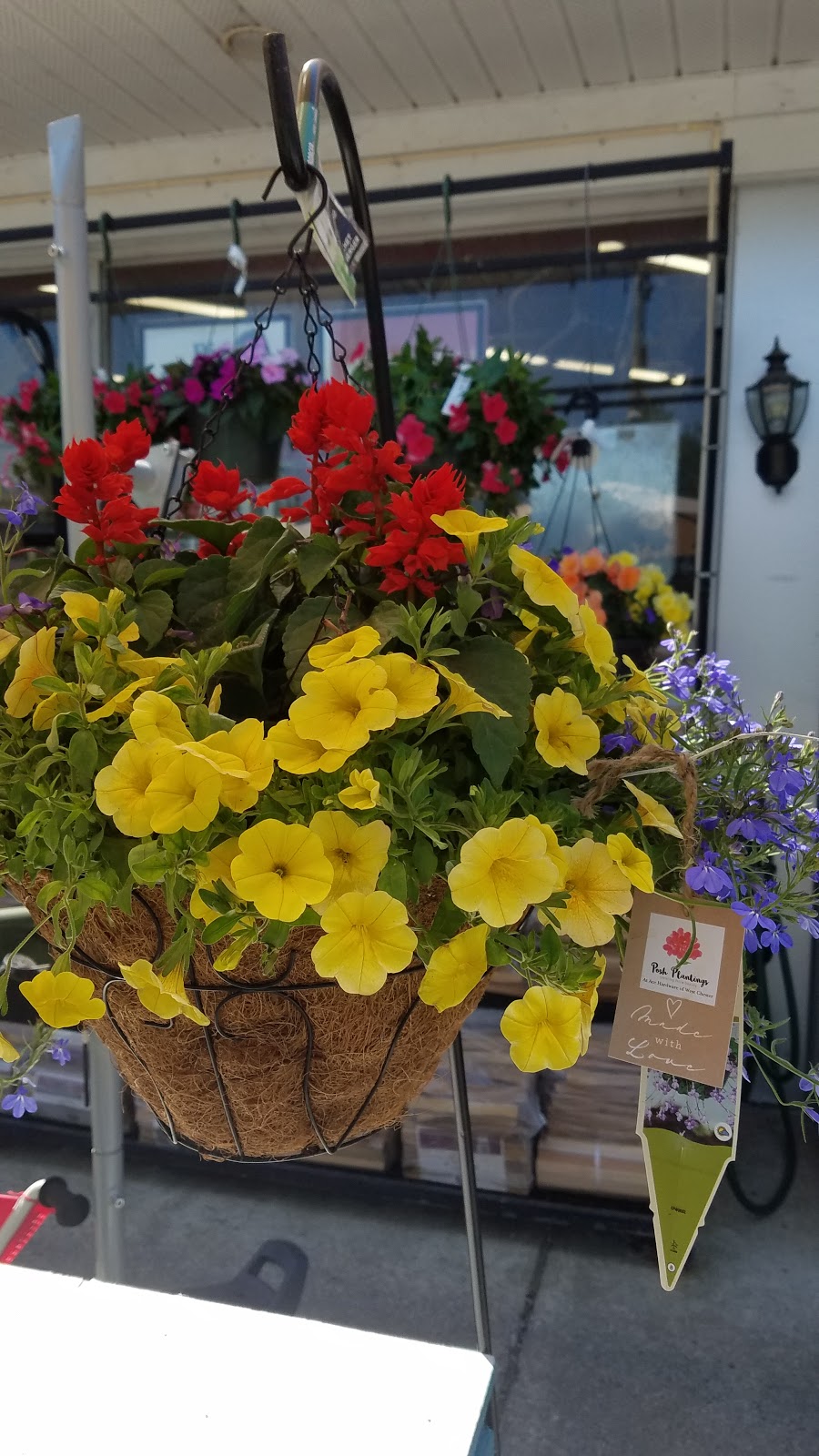Posh Plantings | At Ace Hardware, 720 Strasburg Rd of, West Chester, PA 19380, USA | Phone: (484) 318-5992
