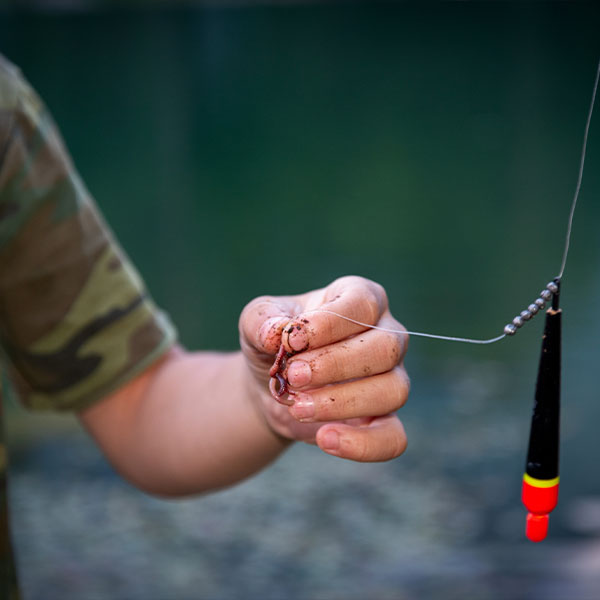 Sunshine State Worms | 11411 Citrus Way #2, Brooksville, FL 34601, USA | Phone: (727) 207-6753