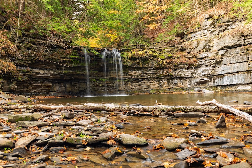 Christman Bird and Wildlife Sanctuary | 3281 Schoharie Turnpike, Delanson, NY 12053, USA | Phone: (212) 997-1880