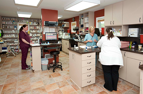 Union Lake Veterinary Hospital | 6545 Cooley Lake Rd, Waterford Twp, MI 48327, USA | Phone: (248) 363-1508