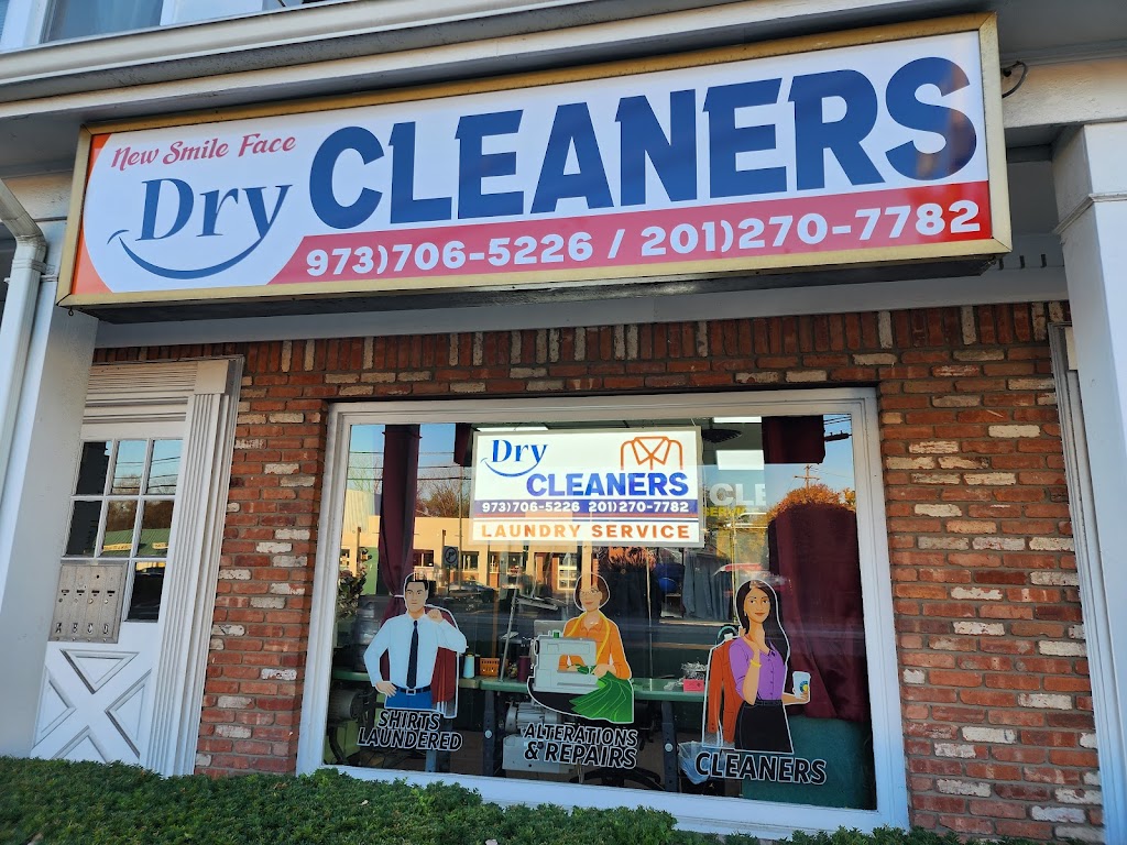 New Smile face Cleaner | 254 Comly Rd, Lincoln Park, NJ 07035, USA | Phone: (973) 706-5226