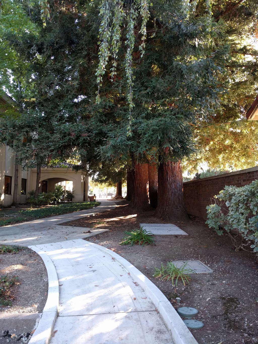 Khan Lab School | 1200 Villa St, Mountain View, CA 94041, USA | Phone: (650) 489-0071