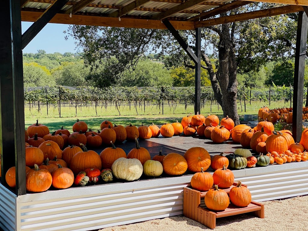 Hamilton Pool Vineyards | 25711 Hamilton Pool Rd, Dripping Springs, TX 78663, USA | Phone: (512) 400-4173