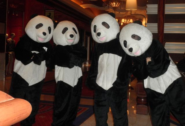 Power Up Auto Inc | Sarasota, FL 34236, USA | Phone: (727) 410-9995